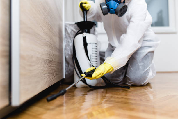 Best Wildlife Control Services  in Fairfax Station, VA
