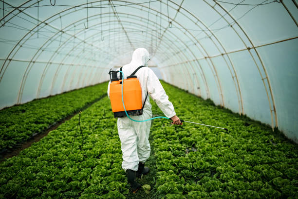 Best Pest Inspection Near Me  in Fairfax Station, VA