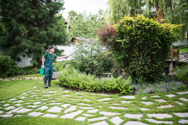 Trusted Fairfax Station, VA Pest Control Experts