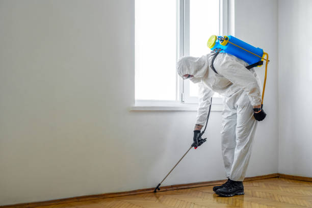 Best Affordable Pest Control Services  in Fairfax Station, VA
